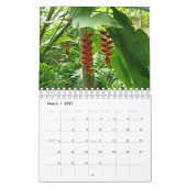 Calendrier Collection Fleurs exotiques Showcase Wall Calendri (Mar 2027)