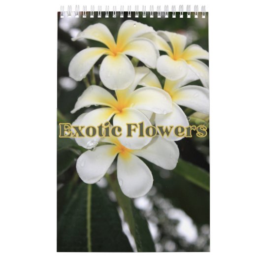 Calendrier Collection Fleurs exotiques Showcase Wall Calendri (Protection)