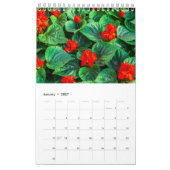 Calendrier Collection Fleurs exotiques Showcase Wall Calendri (Jan 2027)