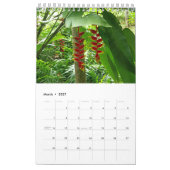 Calendrier Collection Fleurs exotiques Showcase Wall Calendri (Mar 2027)