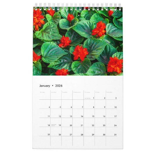 Calendrier Collection Fleurs exotiques Showcase Wall Calendri (Jan 2026)