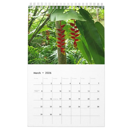 Calendrier Collection Fleurs exotiques Showcase Wall Calendri (Mar 2026)