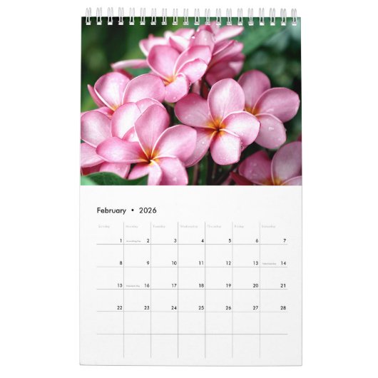Calendrier Collection Fleurs exotiques Showcase Wall Calendri (Feb 2026)