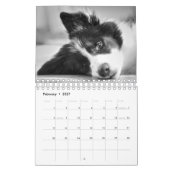 Calendrier Collie Chien à la bordure unique (Feb 2027)