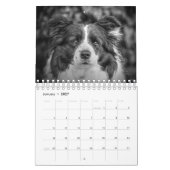 Calendrier Collie Chien à la bordure unique (Jan 2027)
