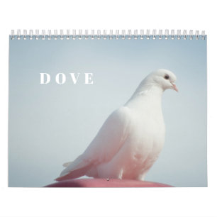 Calendrier Colombe Blanche Mignonne Symbole d'Amour & de Paix