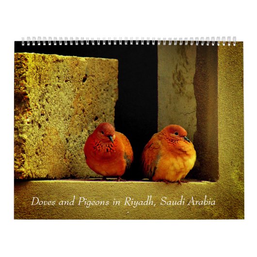 Calendrier Colombes et pigeons (Protection)