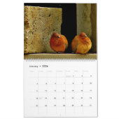 Calendrier Colombes et pigeons (Jan 2026)