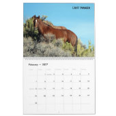Calendrier Colorado Foster to Adopt (Feb 2027)