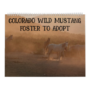 Calendrier Colorado Foster to Adopt