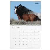 Calendrier Colorado Foster to Adopt (Mar 2027)