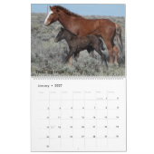 Calendrier Colorado Foster to Adopt (Jan 2027)