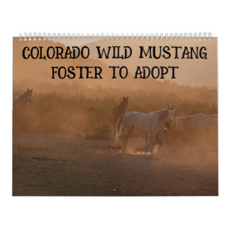 Calendrier Colorado Foster to Adopt