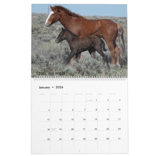 Calendrier Colorado Foster to Adopt Calendar (Jan 2026)
