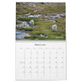 Calendrier Colorado Wildlife Calendar (Mar 2027)