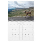 Calendrier Colorado Wildlife Calendar (Jan 2026)