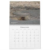 Calendrier Colorado Wildlife Calendar (Feb 2026)