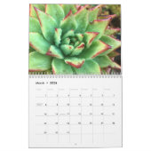 Calendrier coloré des jardins de Plantes succulent (Mar 2026)
