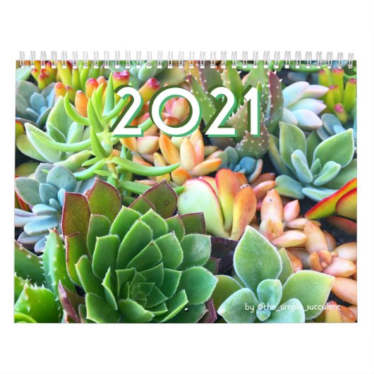 Calendrier coloré des jardins de Plantes succulent (Protection)