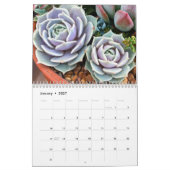 Calendrier coloré des jardins de Plantes succulent (Jan 2027)