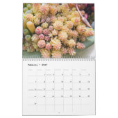Calendrier coloré des jardins de Plantes succulent (Feb 2027)