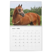 Calendrier Colts de BOGO photos 2 an (Mar 2026)