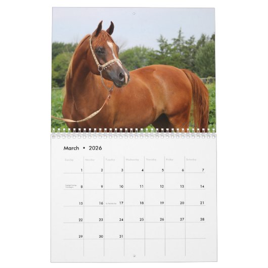 Calendrier Colts de BOGO photos 2 an (Mar 2026)