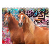 Calendrier Colts de BOGO photos 2 an (Protection)