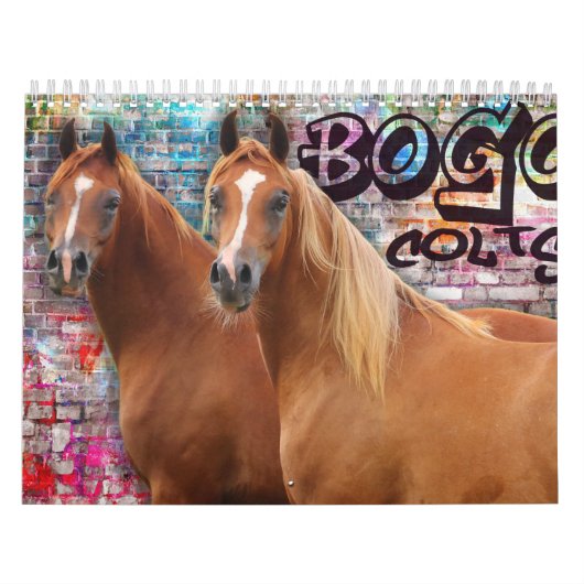 Calendrier Colts de BOGO photos 2 an (Protection)