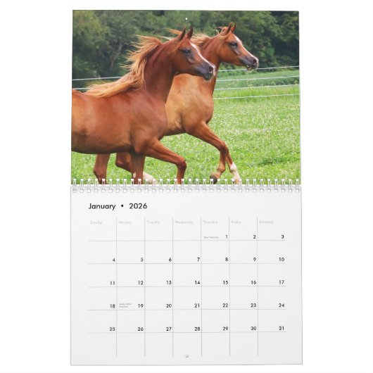 Calendrier Colts de BOGO photos 2 an (Jan 2026)