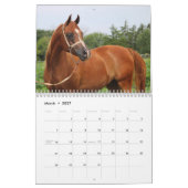 Calendrier Colts de BOGO photos 2 an (Mar 2027)