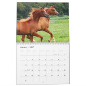 Calendrier Colts de BOGO photos 2 an (Jan 2027)