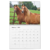 Calendrier Colts de BOGO photos 2 an (Feb 2027)