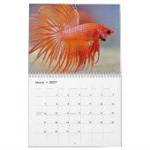 Calendrier Combattant 2027 (Mar 2027)