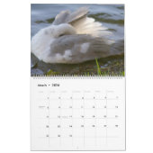Calendrier COMMENT DÉCOUVRIR UN MORCEAU PAR A. Grey Duck 2024 (Mar 2026)