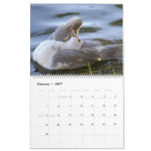Calendrier COMMENT DÉCOUVRIR UN MORCEAU PAR A. Grey Duck 2024 (Feb 2027)