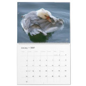 Calendrier COMMENT GRATTER UNE DÉMANGEAISON par A. Gray Duck (Jan 2027)
