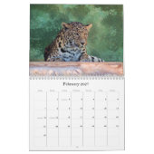 CALENDRIER COMPOSÉ FÉLIN EXOTIQUE D'ÉLEVAGE (Feb 2027)