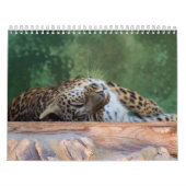 CALENDRIER COMPOSÉ FÉLIN EXOTIQUE D'ÉLEVAGE (Protection)