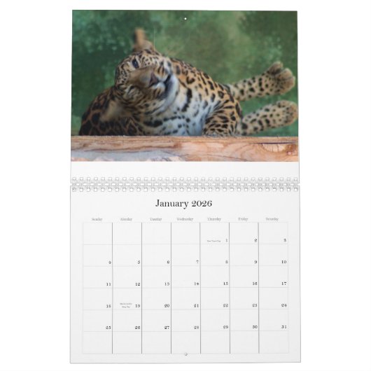 CALENDRIER COMPOSÉ FÉLIN EXOTIQUE D'ÉLEVAGE (Jan 2026)
