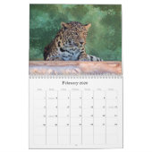CALENDRIER COMPOSÉ FÉLIN EXOTIQUE D'ÉLEVAGE (Feb 2026)