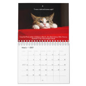 Calendrier confortable 2019 de chats (Mar 2027)