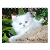 Calendrier confortable de 2010 chatons - customisé (Protection)