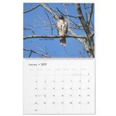 Calendrier Connecticut Pittoresque 2021 (Jan 2027)