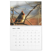 Calendrier Connecticut Pittoresque 2024 (Mar 2026)