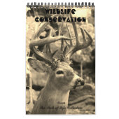 Calendrier Conservation de faune (Protection)