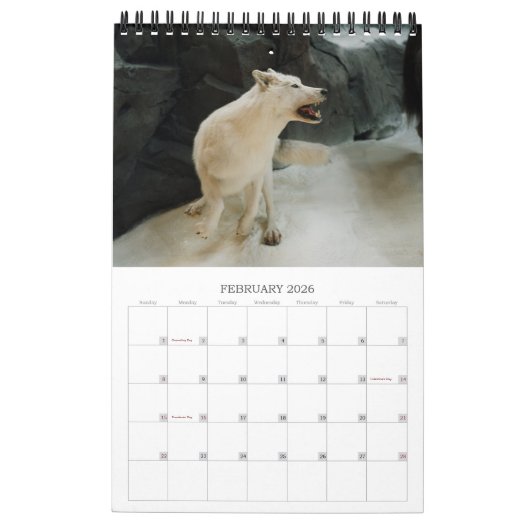 Calendrier Conservation de faune (Feb 2026)
