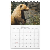 Calendrier Conservation de faune (Jan 2026)