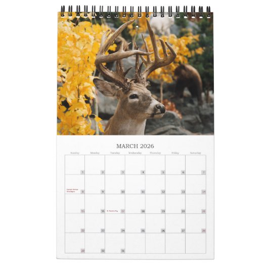 Calendrier Conservation de faune (Mar 2026)