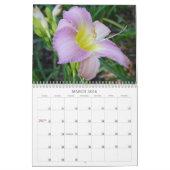 Calendrier Contact des Daylilies de Sun II (Mar 2026)